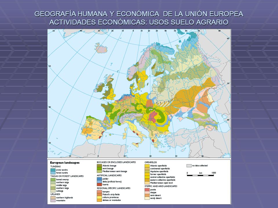 GEOGRAFIA HUMANA Y ECONOMICA geografia humana y economica: