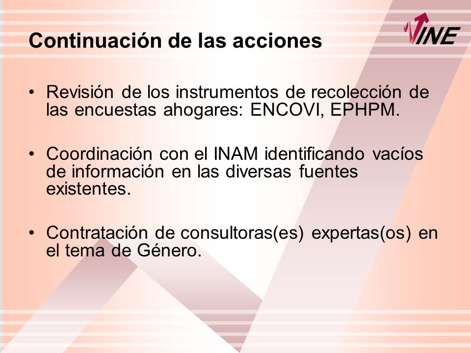 Continuación de las acciones Revisión de los instrumentos de recolección de las encuestas ahogares: ENCOVI, EPHPM.
