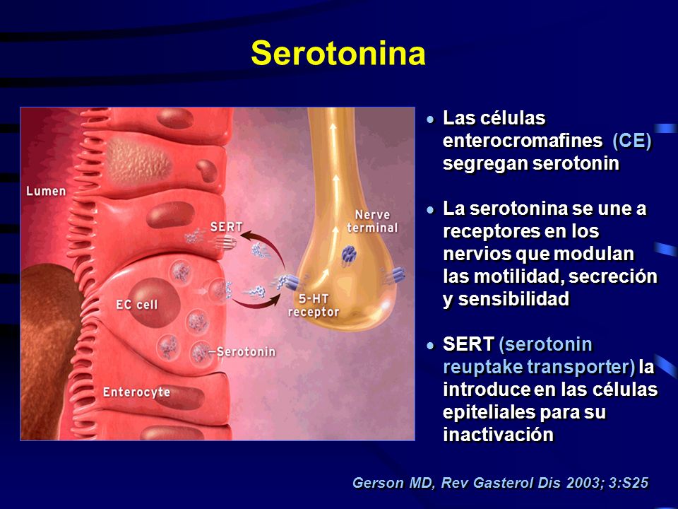Beneficios Funcionales Viagra Vs Viagra
