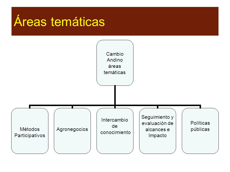 Áreas temáticas Cambio Andino áreas temáticas Métodos Participativos Agronegocios Intercambio de conocimiento Seguimiento y evaluación de alcances e Impacto Políticas públicas