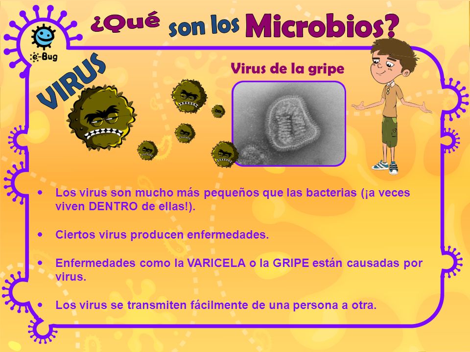 ENFERMEDADES QUE PRODUCEN LAS BACTERIAS Y LOS VIRUS enfermedades que producen las bacterias y los virus: