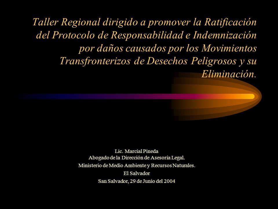 Taller Regional dirigido a promover la Ratificación del Protocolo de Responsabilidad e Indemnización por daños causados por los Movimientos Transfronterizos de Desechos Peligrosos y su Eliminación.