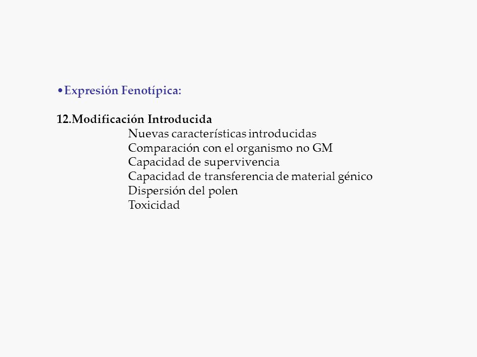 Expresión Fenotípica: 12.Modificación Introducida Nuevas características introducidas Comparación con el organismo no GM Capacidad de supervivencia Capacidad de transferencia de material génico Dispersión del polen Toxicidad