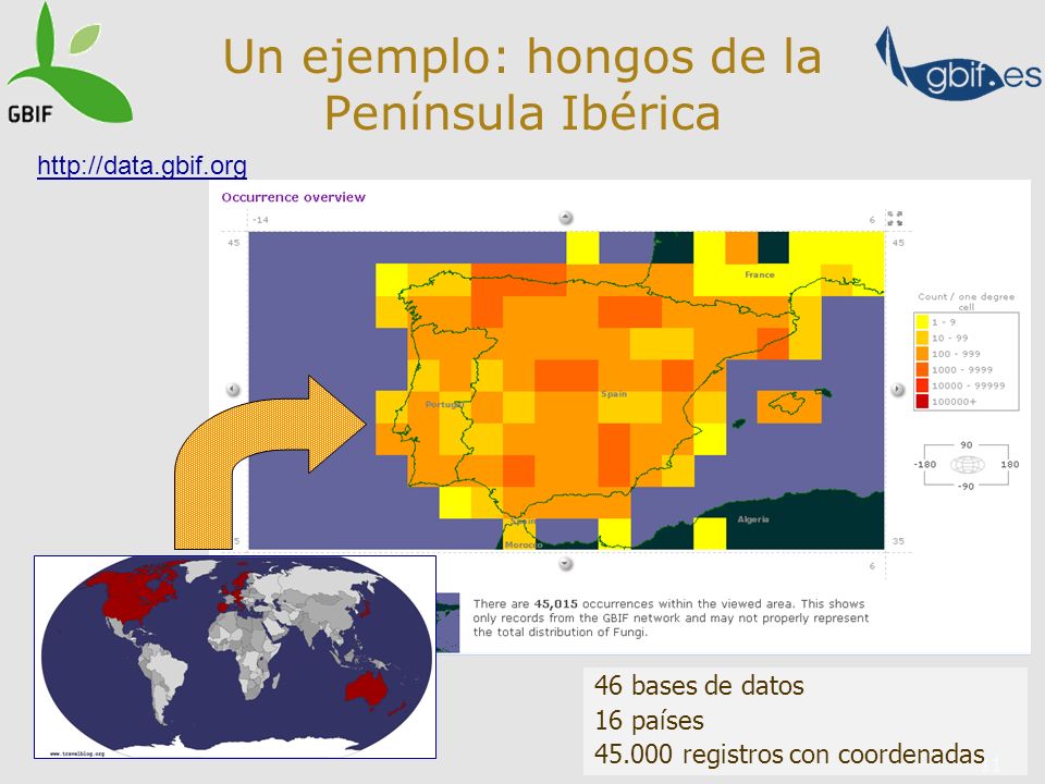 11 Un ejemplo: hongos de la Península Ibérica 46 bases de datos 16 países registros con coordenadas
