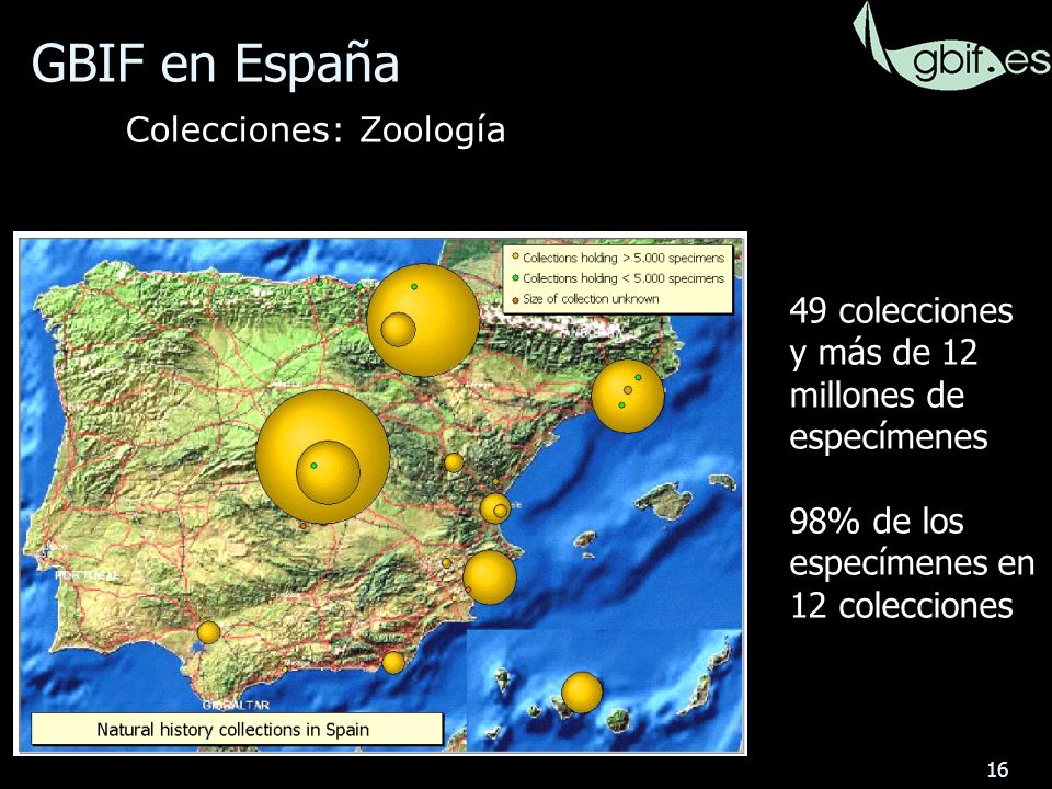 16 49 colecciones y más de 12 millones de especímenes 98% de los especímenes en 12 colecciones GBIF en España Colecciones: Zoología