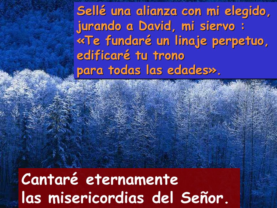 Resultado de imagen para Cantaré eternamente tus misericordias, Señor Cantaré eternamente las misericordias del Señor, anunciaré tu fidelidad por todas las edades.