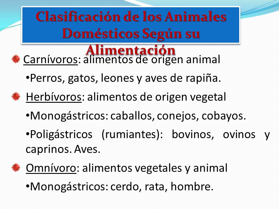 ENZIMA ORIGEN ANIMAL enzima origen animal: