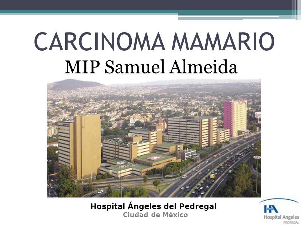 HOSPITAL LOS ANGELES PEDREGAL hospital los angeles pedregal: