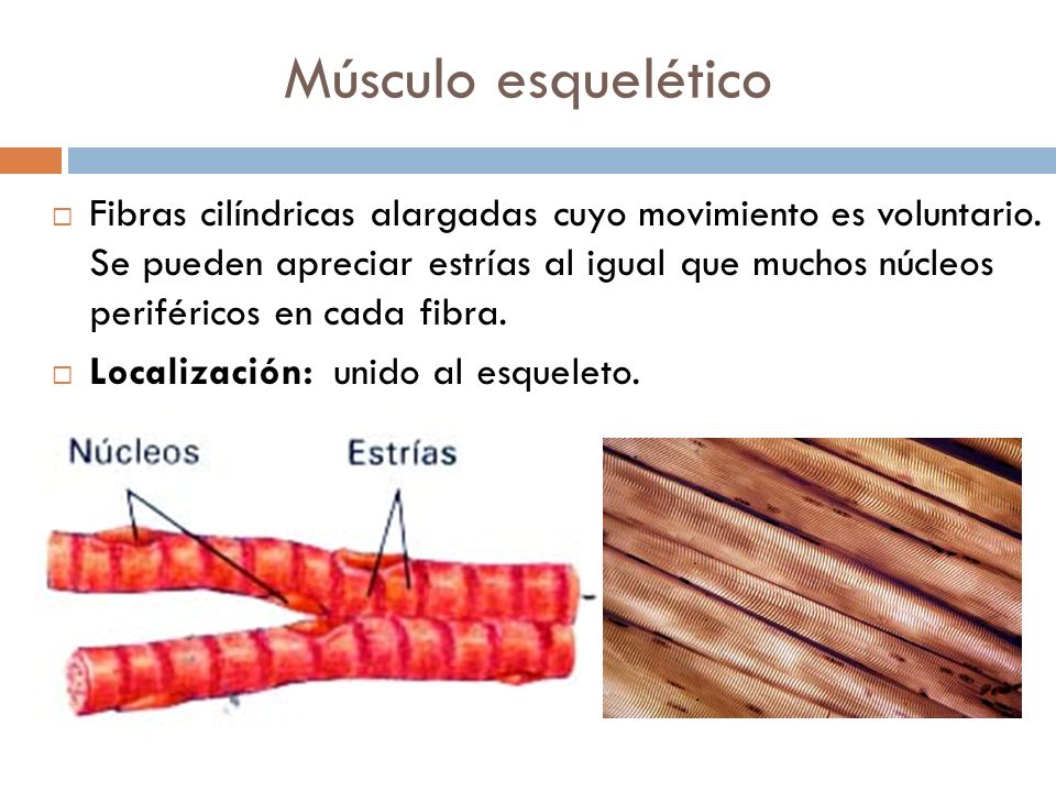 DEFINE EL CONCEPTO DE MODELADO define el concepto de modelado: