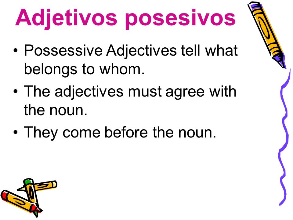Adjetivos posesivos Possessive Adjectives tell what belongs to whom.