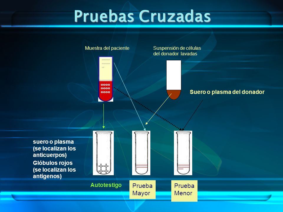 COMPATIBILIDAD SANGUINEA compatibilidad sanguinea: