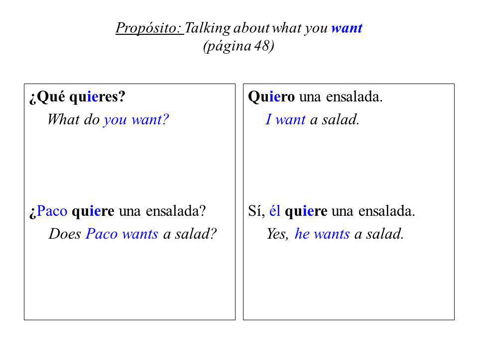Propósito: Talking about what you want (página 48) ¿Qué quieres.