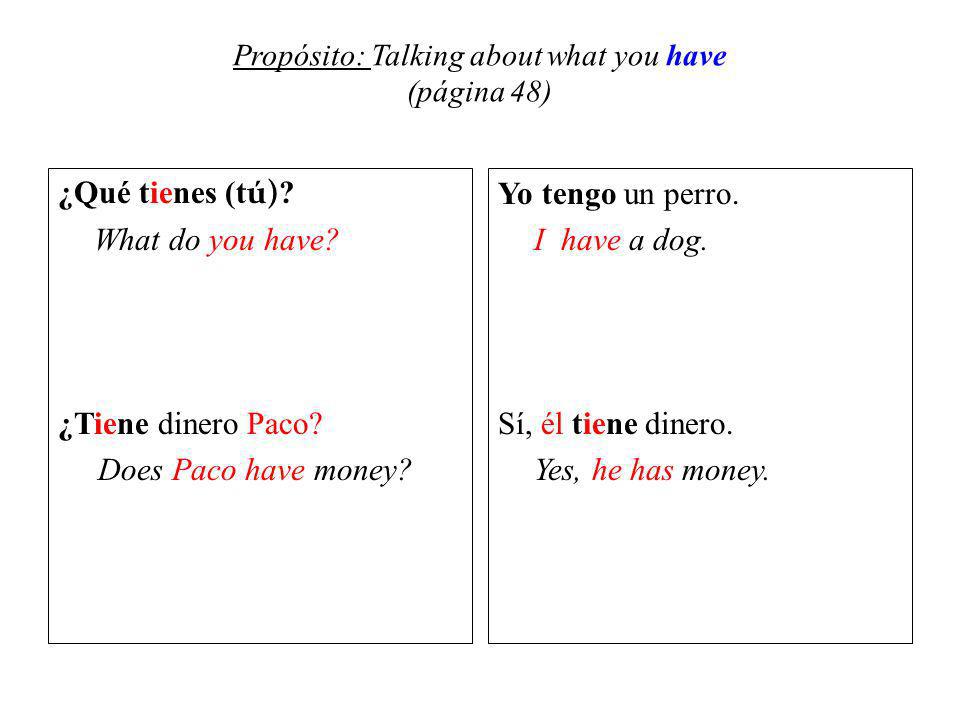 Propósito: Talking about what you have (página 48) ¿Qué tienes (t ú) .