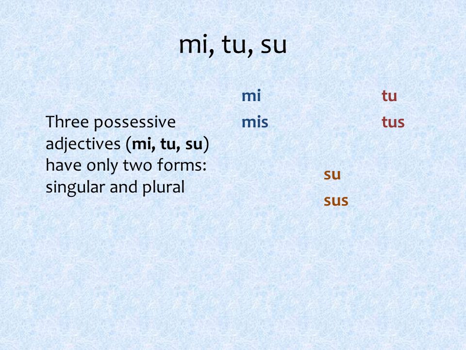mi, tu, su Three possessive adjectives (mi, tu, su) have only two forms: singular and plural mitu mistus su sus