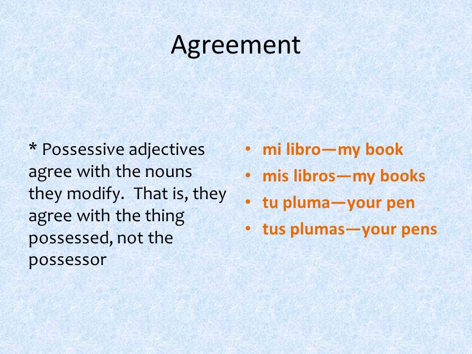 Agreement * Possessive adjectives agree with the nouns they modify.
