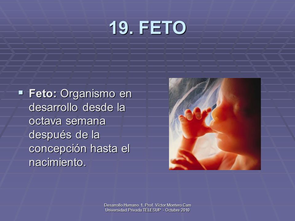 GLOSARIO TERMINO PSICOLOGIA glosario termino psicologia: