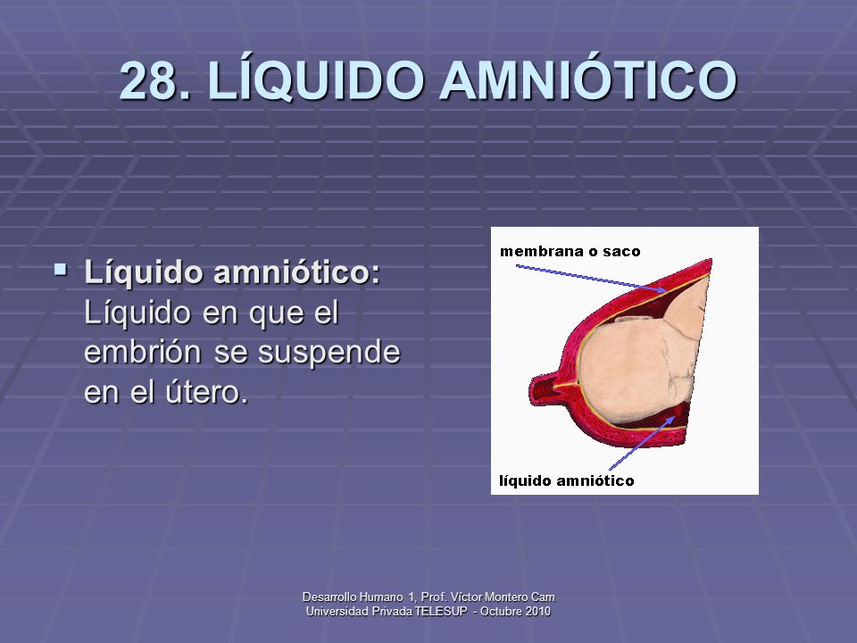 GLOSARIO TERMINO PSICOLOGIA glosario termino psicologia: