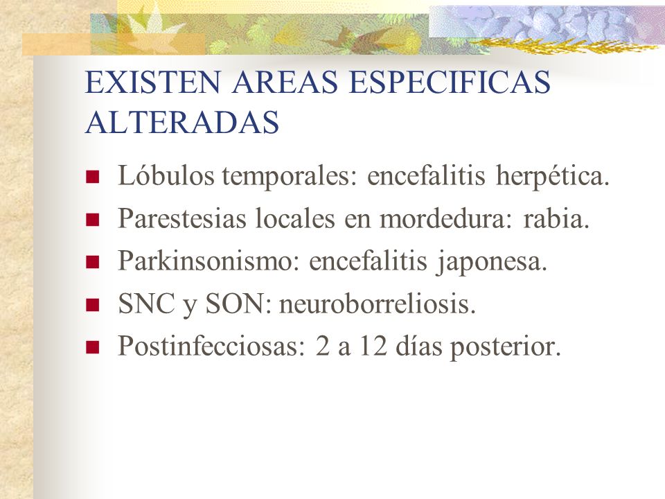 ENCEFALITIS INFANTIL encefalitis infantil:
