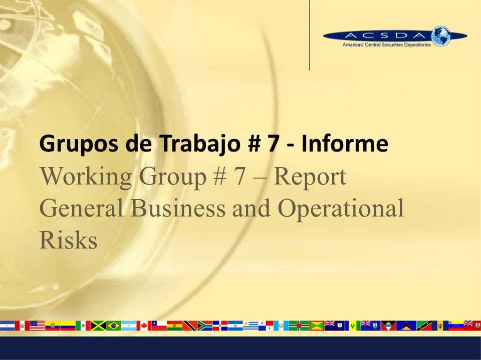 Grupos de Trabajo # 7 - Informe Working Group # 7 – Report General Business and Operational Risks
