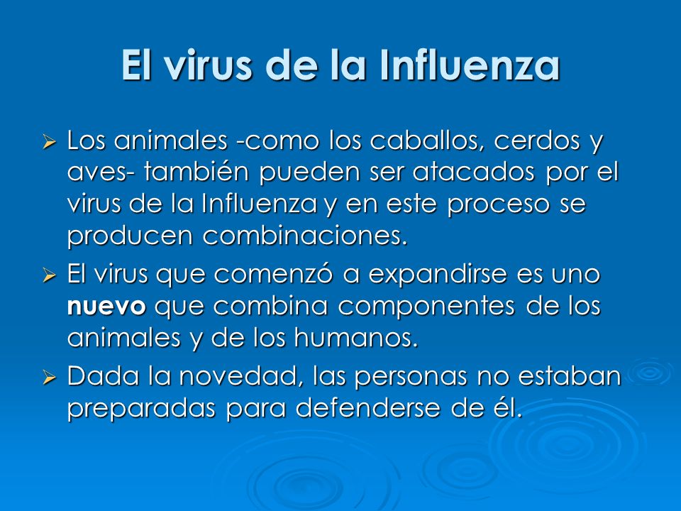 El virus de la Influenza Los animales -como los caballos, cerdos y aves- también pueden ser atacados por el virus de la Influenza y en este proceso se producen combinaciones.