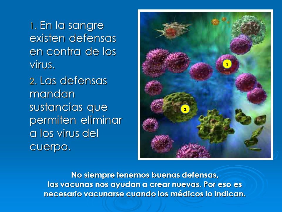 1. En la sangre existen defensas en contra de los virus.