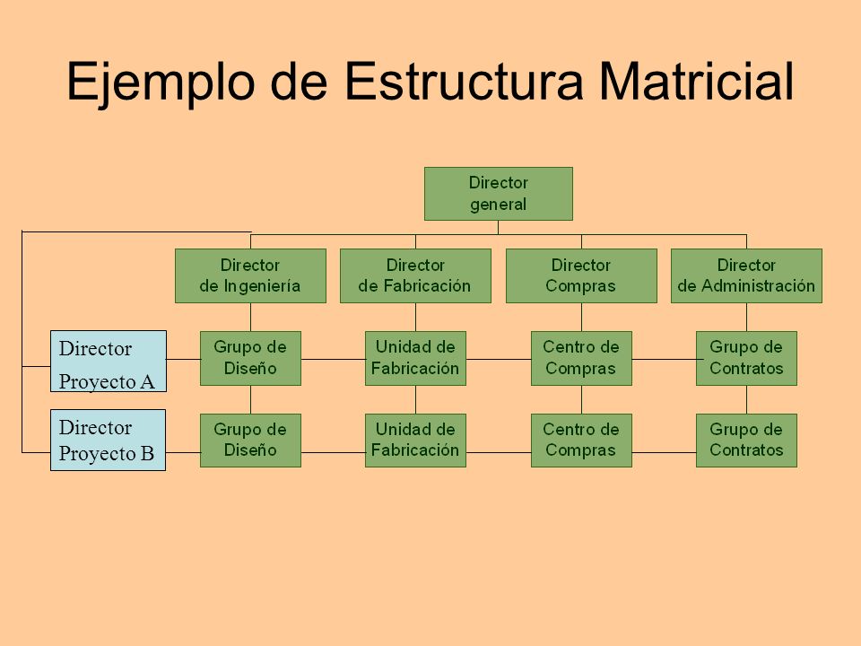 Seminario De Gerencia Ii