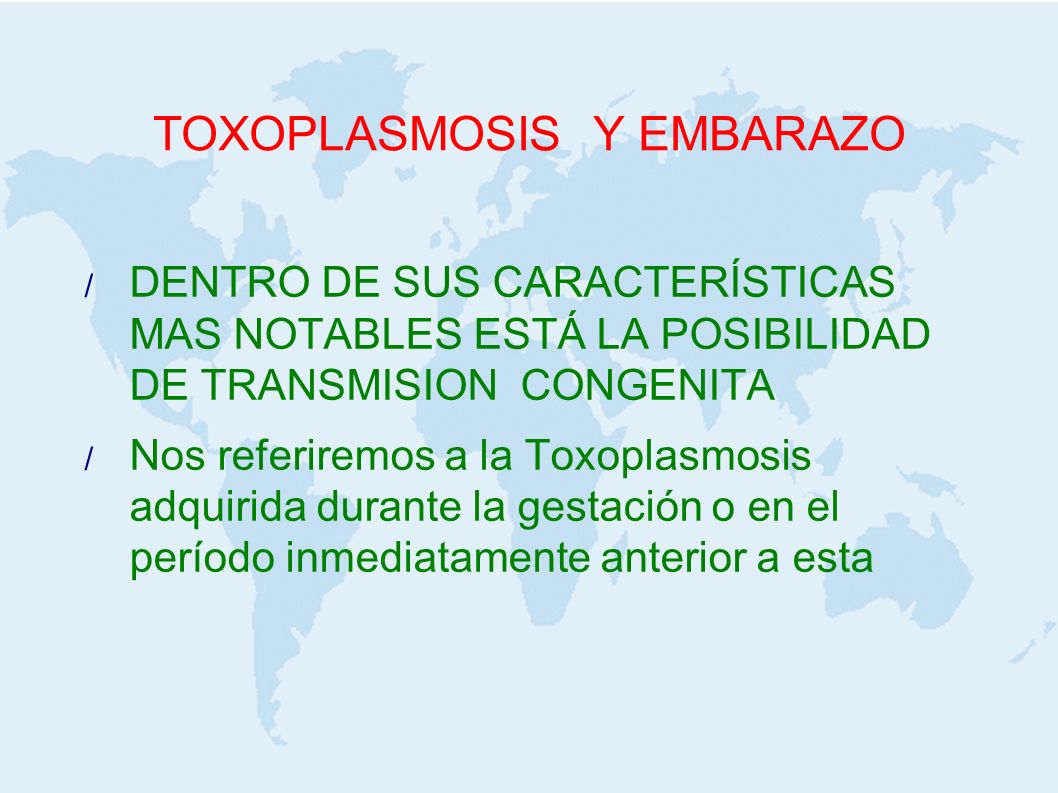 Verdades y mentiras sobre la toxoplasmosis
