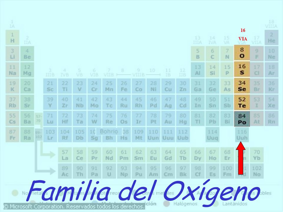FAMILIA DEL NITROGENO familia del nitrogeno: