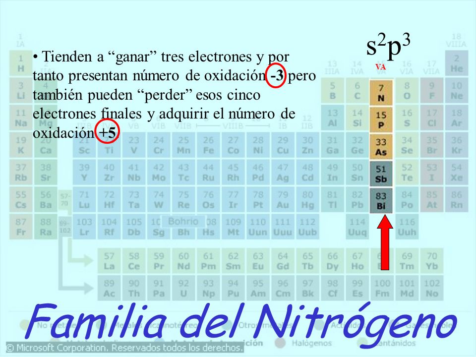 FAMILIA DEL NITROGENO familia del nitrogeno:
