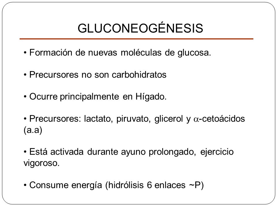 Metabolismo De Carbohidratos Dra Rodr Guez Glucosa 35500 Hot Sex Picture 1940