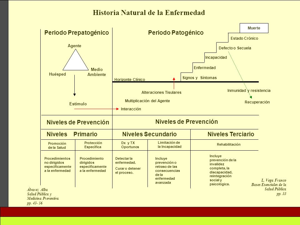HISTORIA NATURAL PALUDISMO historia natural paludismo: