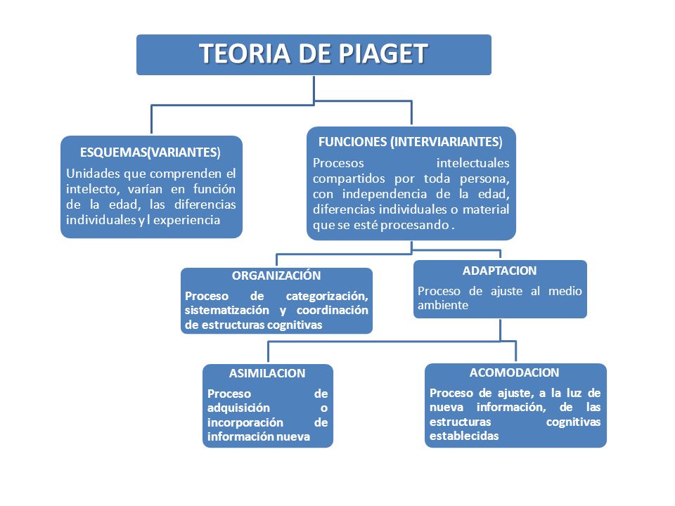 TEORIA AND AND PIAGET teoria and and piaget: