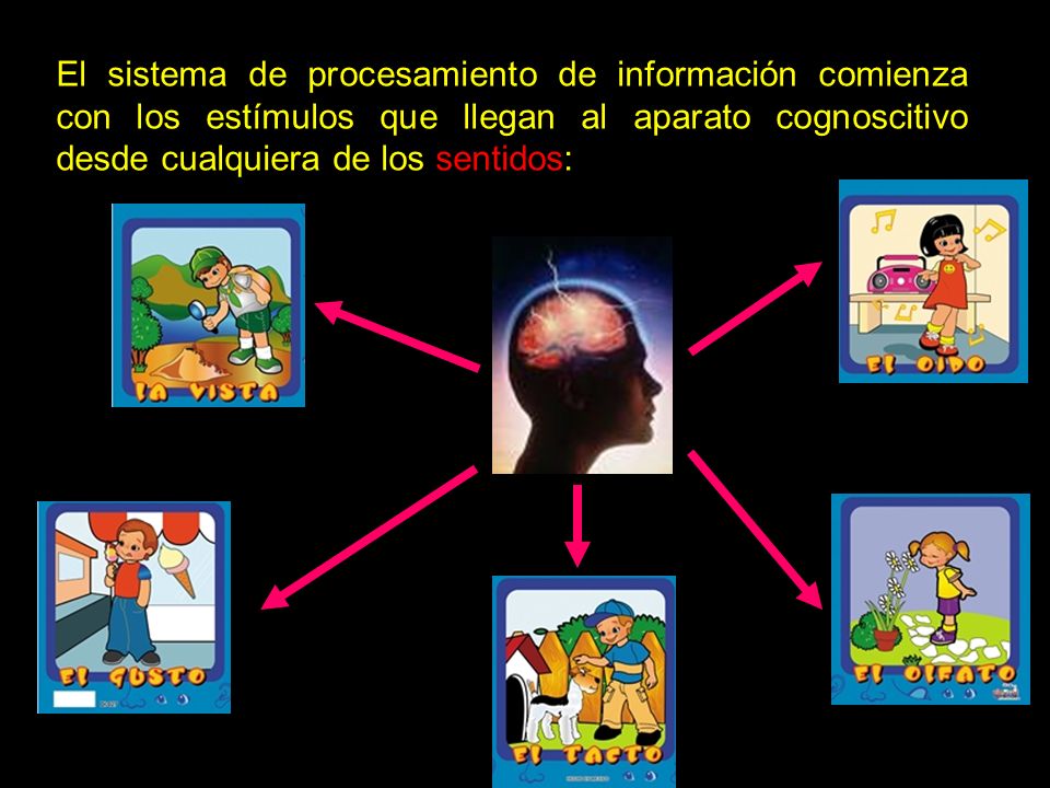 Resultado de imagen de imagen de la teoria del procesamiento de informacion