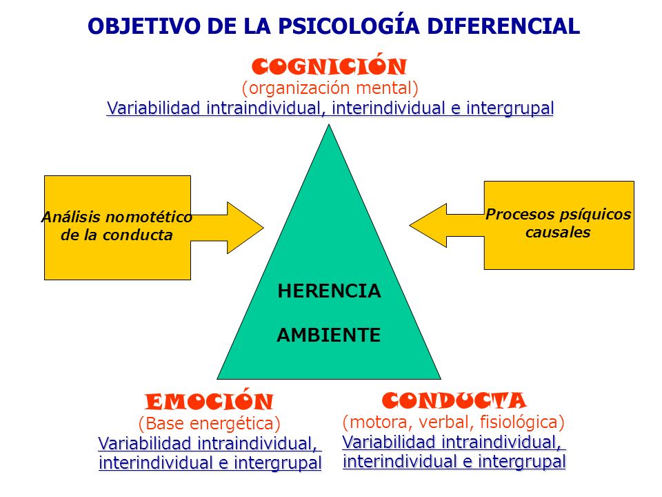 HERENCIA PSICOLOGIA herencia psicologia: