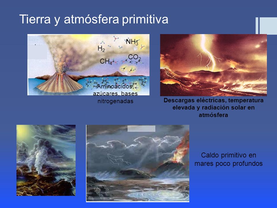 COMPROBACION LA PRIMITIVA comprobacion la primitiva: