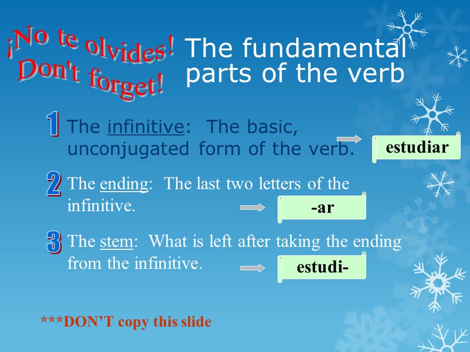The fundamental parts of the verb The infinitive: The basic, unconjugated form of the verb.
