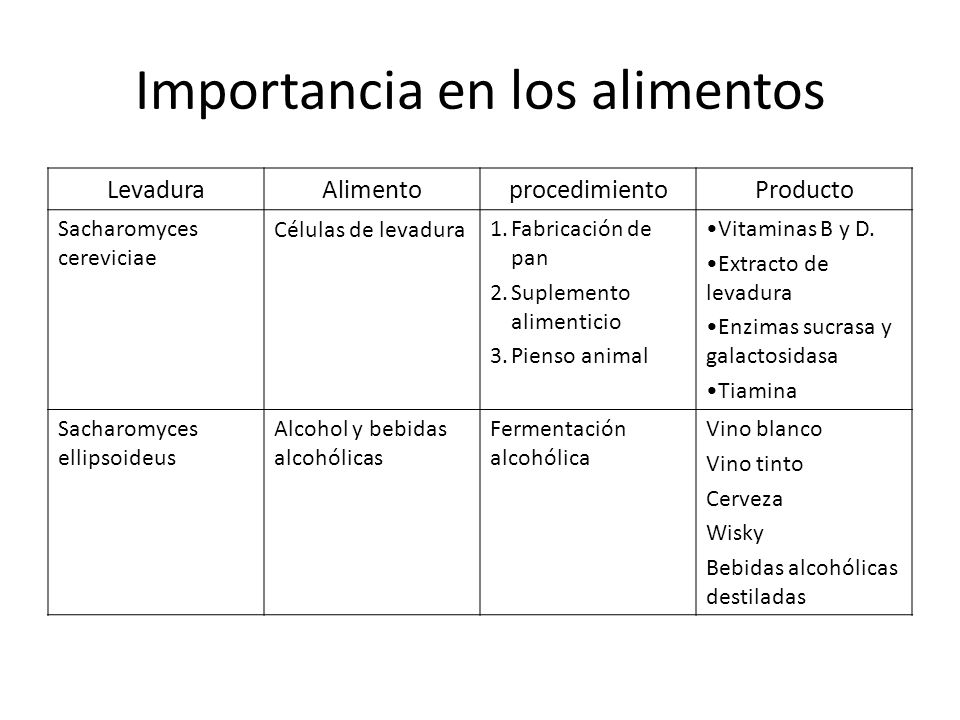 IMPORTANCIA DE LOS HONGOS EN LA MEDICINA importancia de los hongos en la medicina: