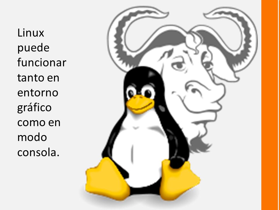 Linux puede funcionar tanto en entorno gráfico como en modo consola.