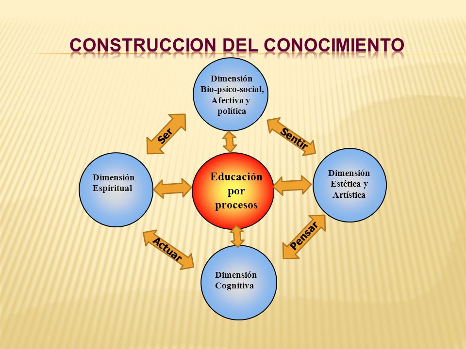 DIMENSION SOCIAL EDUCACION dimension social educacion: