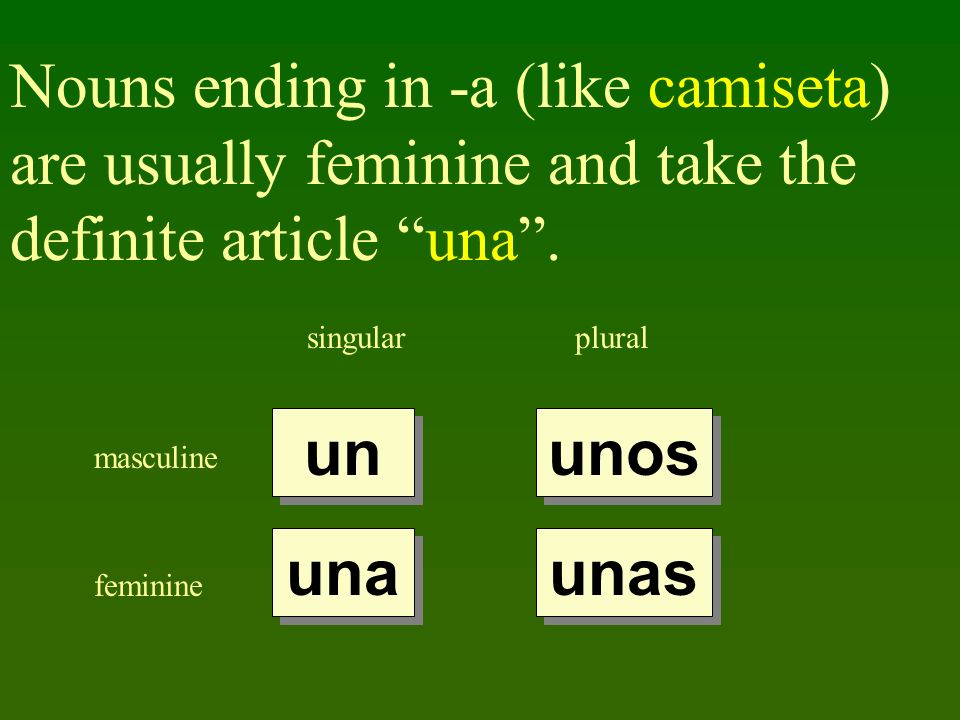 Nouns ending in -a (like camiseta) are usually feminine and take the definite article una.