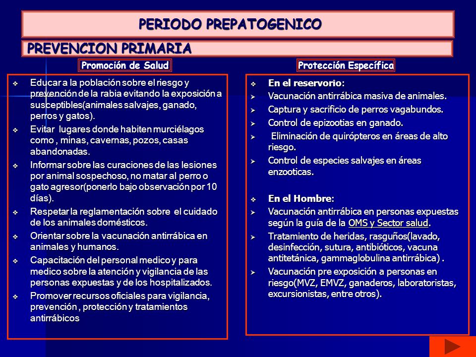 HISTORIA NATURAL DE LA ENFERMEDAD PERIODO PATOGENICO historia natural de la enfermedad periodo patogenico: