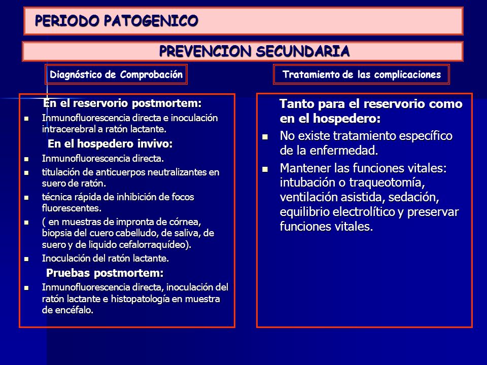 HISTORIA NATURAL DE LA ENFERMEDAD PERIODO PATOGENICO historia natural de la enfermedad periodo patogenico: