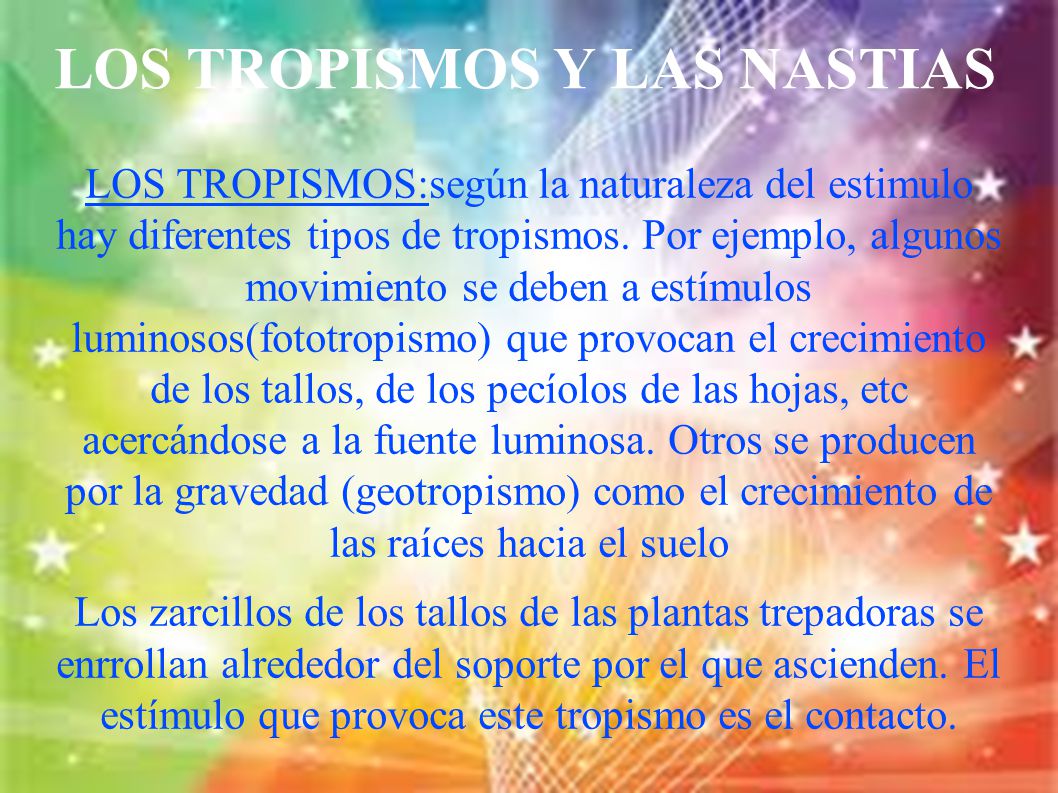 TROPISMO PLANTAS TREPADORAS tropismo plantas trepadoras:
