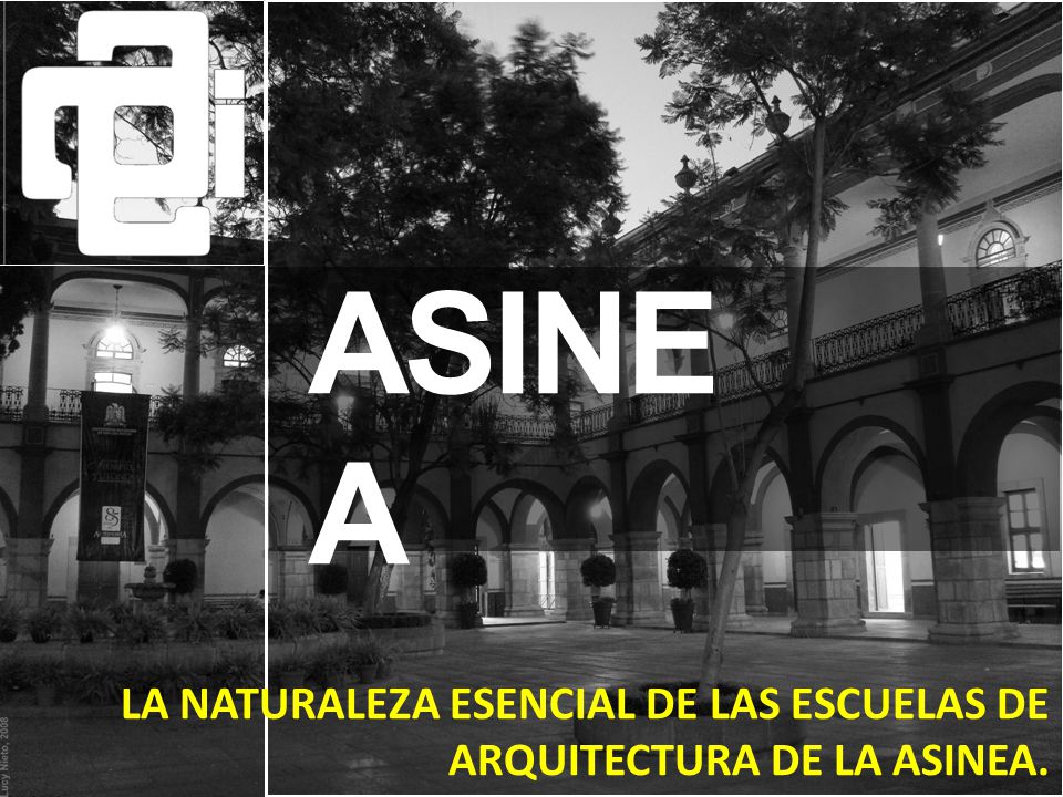 ASINE A LA NATURALEZA ESENCIAL DE LAS ESCUELAS DE ARQUITECTURA DE LA ASINEA.