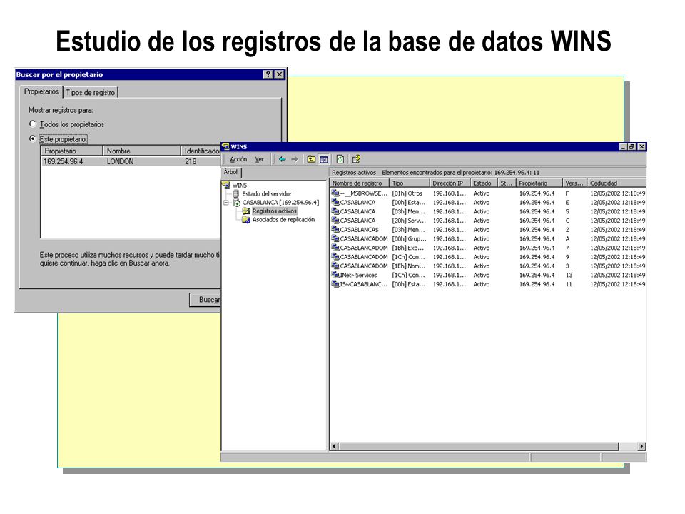 Estudio de los registros de la base de datos WINS