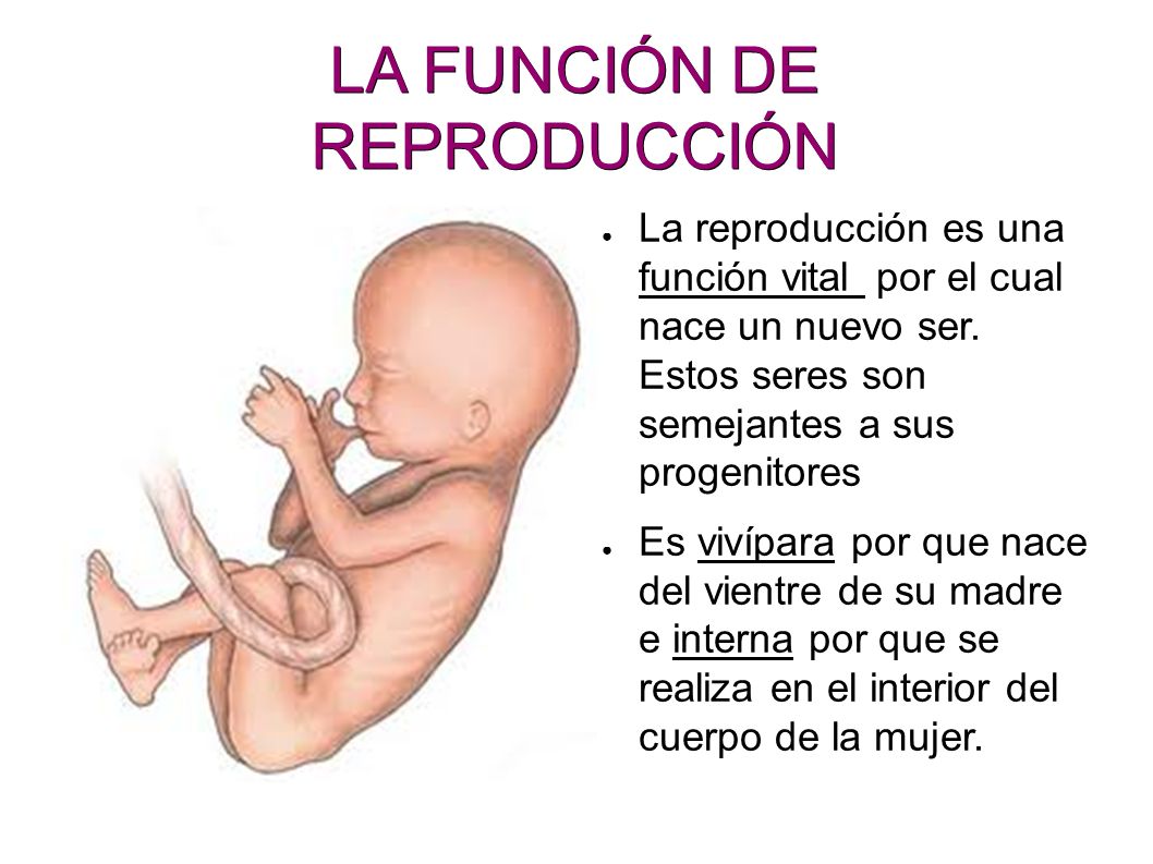 CARACTERISTICA BIOLOGICO MUJER caracteristica biologico mujer:
