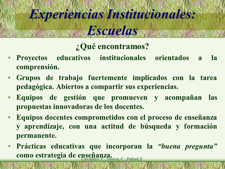 Cavallero, C.; Maroa, C.; Pahud, F. Experiencias Institucionales: Escuelas ¿Qué encontramos.