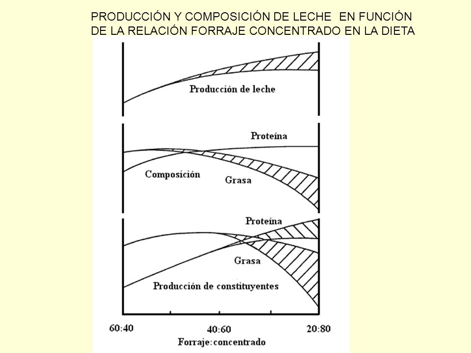 FACTORES QUE AFECTAN LA COMPOSICION DE LA LECHE factores que afectan la composicion de la leche: