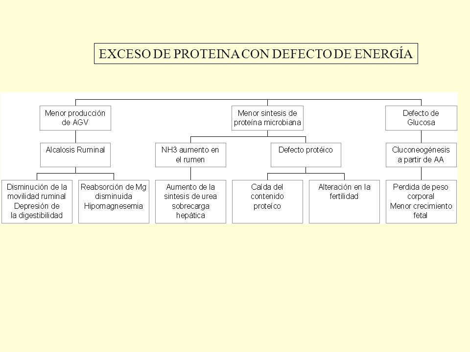 FACTORES QUE AFECTAN LA COMPOSICION DE LA LECHE factores que afectan la composicion de la leche: