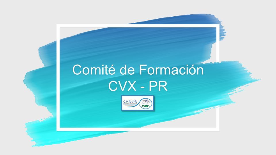 Comité de Formación CVX PR Cómo Venimos Esperanza y Preocupación